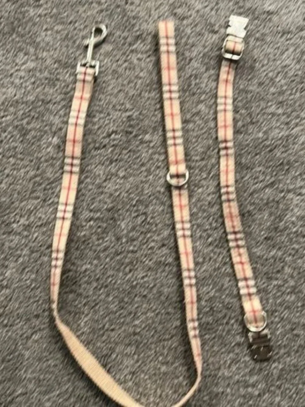 Fashion Dog collar and leash